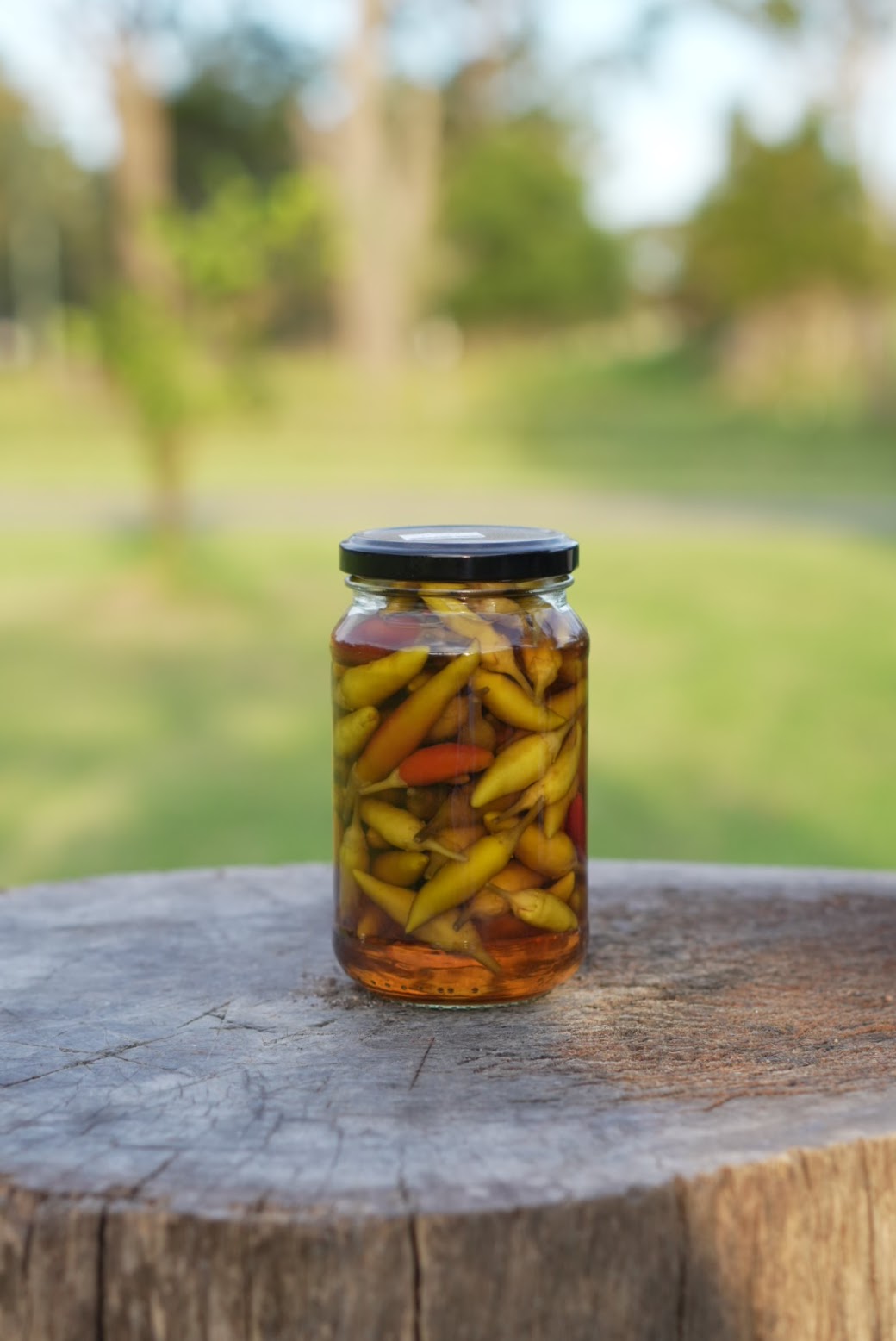 Contadino Olive Farm Pickled Chili (500ml Jug) Spicy & Tangy Flavor